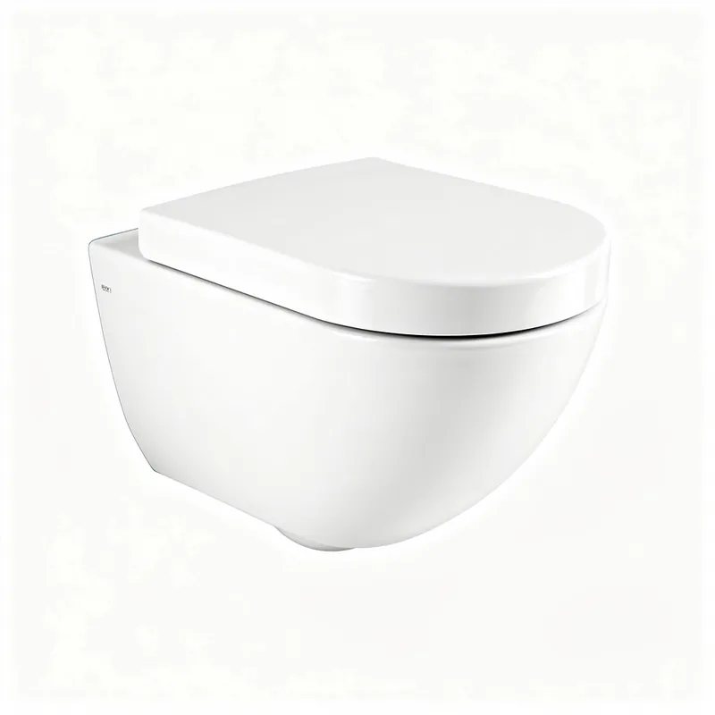 Pose WC Suspendu Aubervilliers